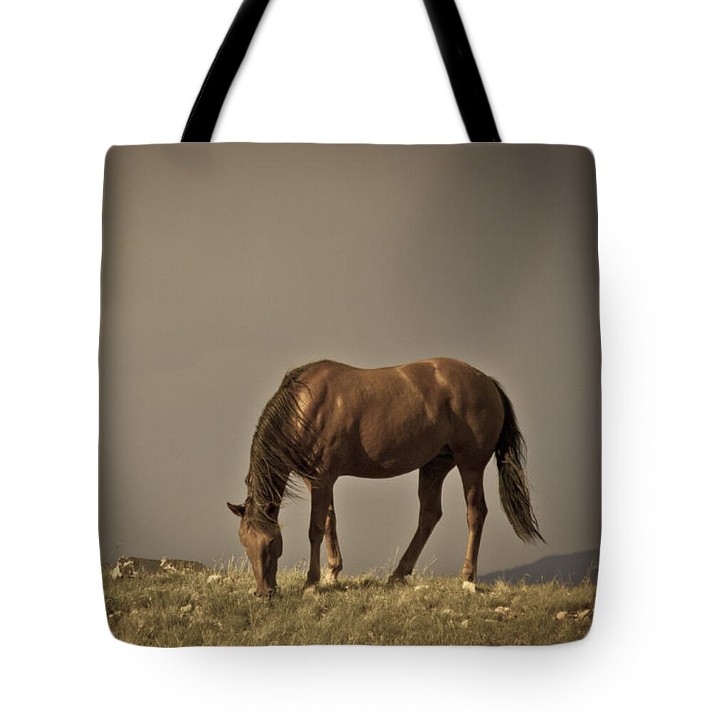 Andalusia Tote Bag featuring the photograph Wild Mustangs of New Mexico 20 by Catherine Sobredo