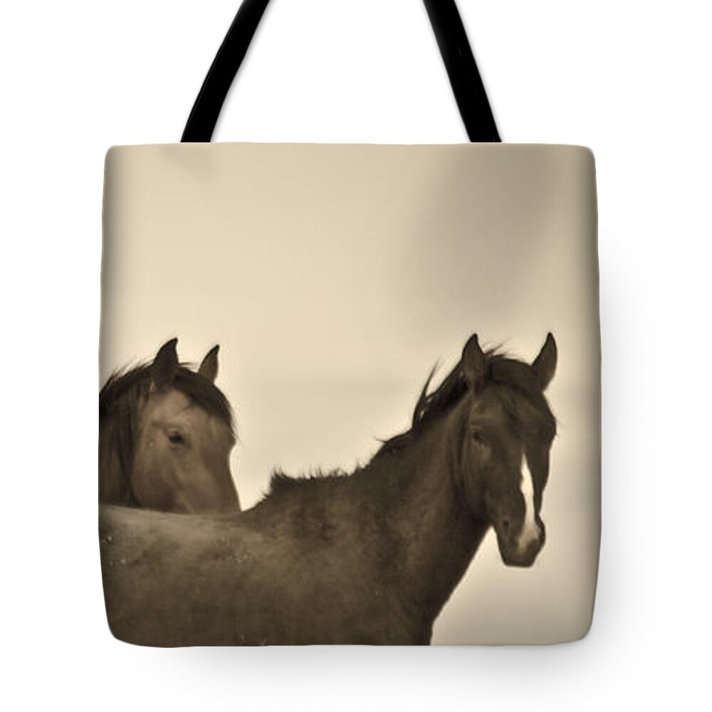 Horses Tote Bag featuring the photograph Wild Mustangs of New Mexico 3 by Catherine Sobredo