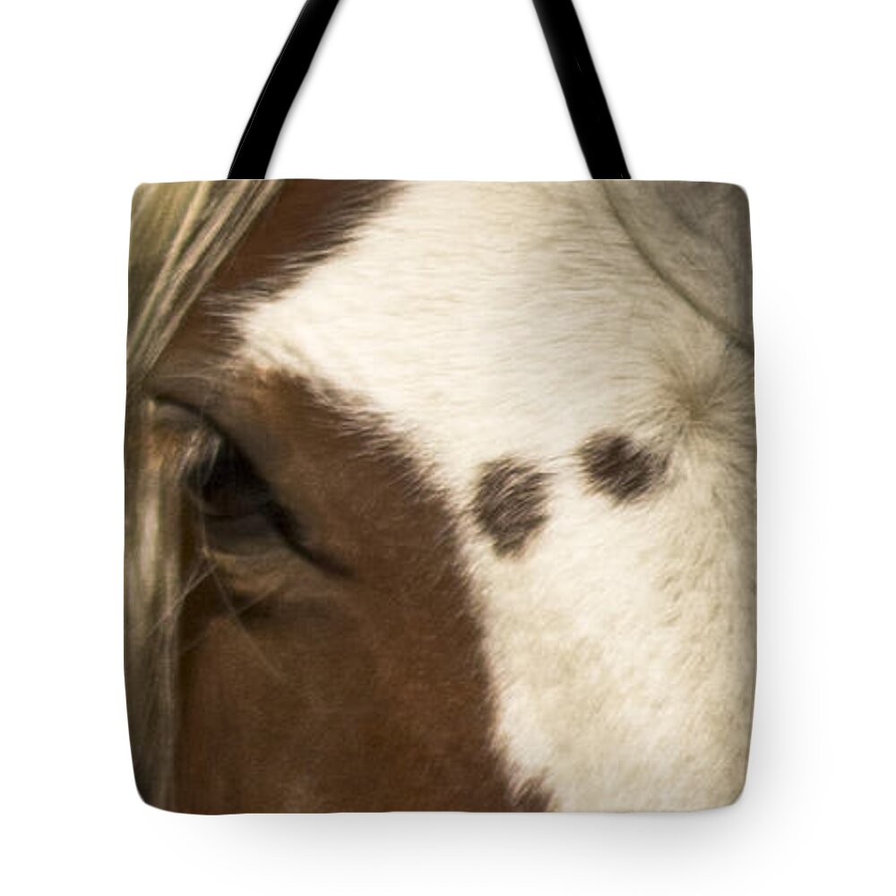 Andalusia Tote Bag featuring the photograph Wild Mustangs of New Mexico 32 by Catherine Sobredo