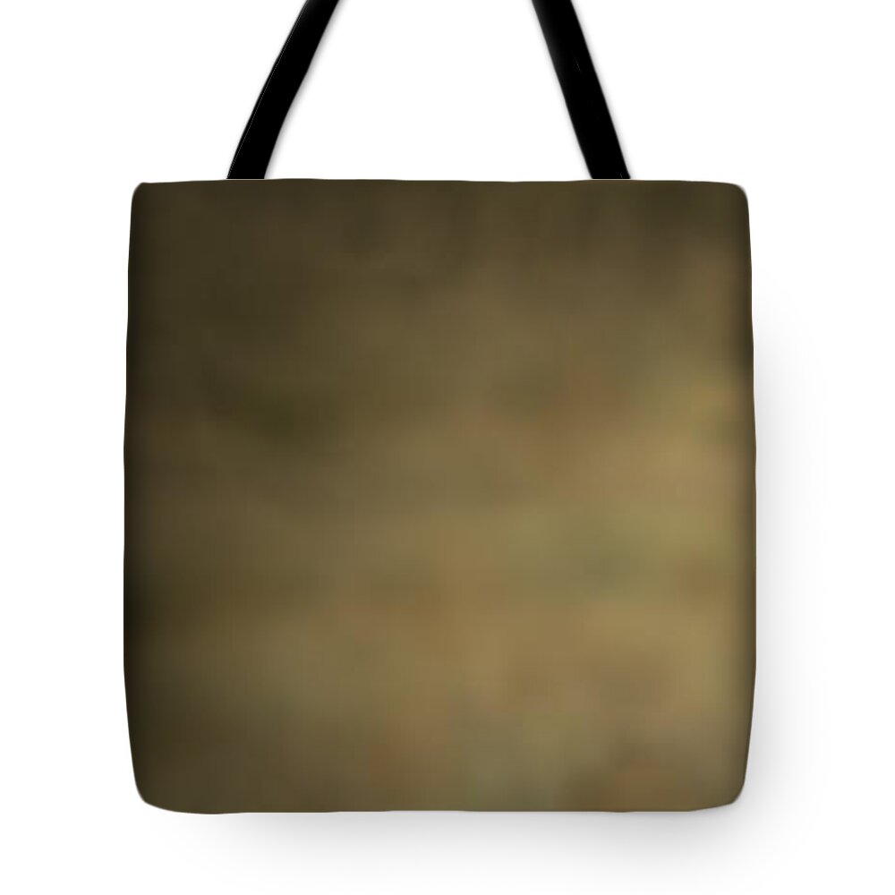 Andalusia Tote Bag featuring the photograph Wild Mustangs of New Mexico 35 by Catherine Sobredo