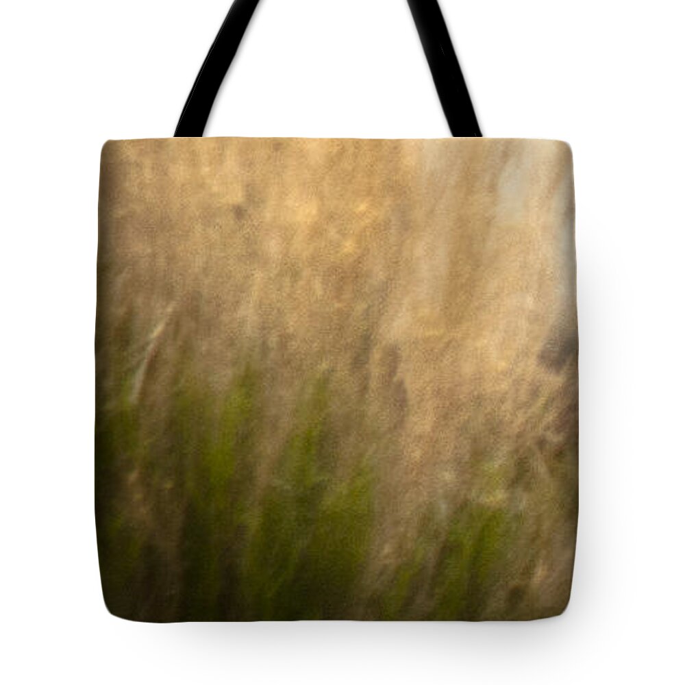 Andalusia Tote Bag featuring the photograph Wild Mustangs of New Mexico 36 by Catherine Sobredo