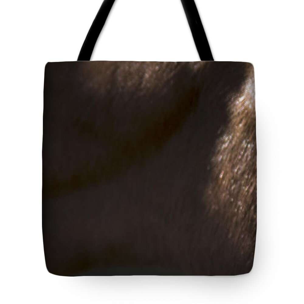 Andalusia Tote Bag featuring the photograph Wild Mustangs of New Mexico 41 by Catherine Sobredo