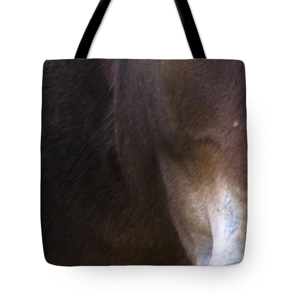 Andalusia Tote Bag featuring the photograph Wild Mustangs of New Mexico 42 by Catherine Sobredo