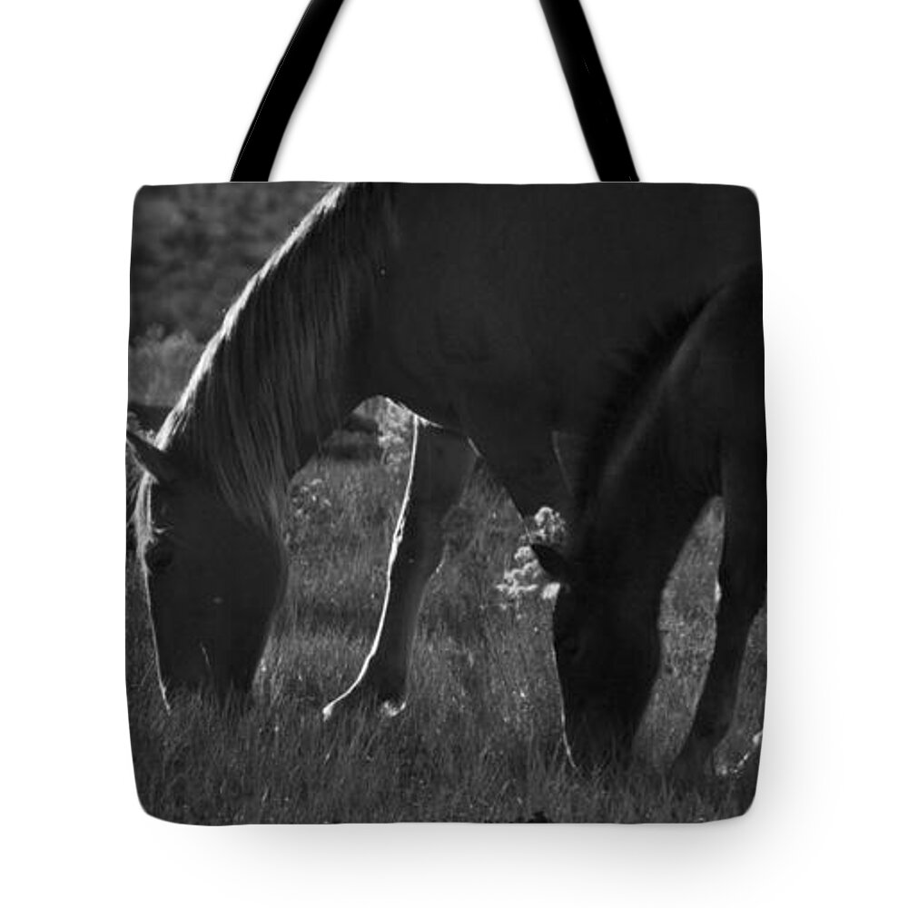 Andalusia Tote Bag featuring the photograph Wild Mustangs of New Mexico 7 by Catherine Sobredo