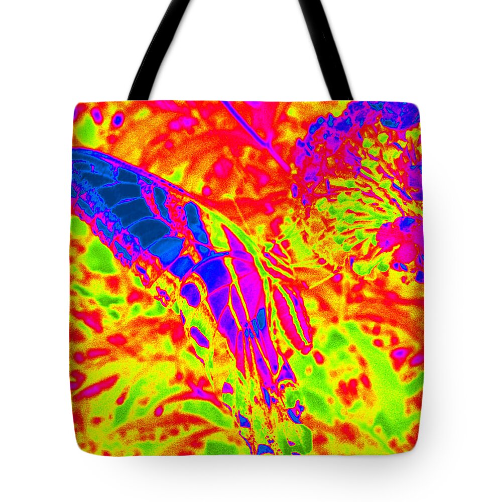 Monarch Butterfly Tote Bag featuring the photograph Wild n Crazy Butterfly by Kim Galluzzo