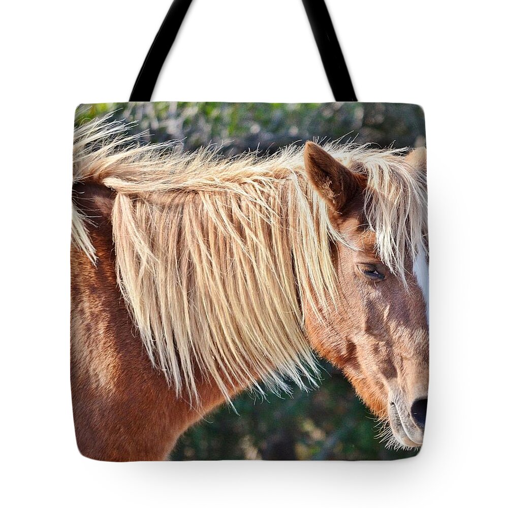 Horse Tote Bag featuring the photograph Wild Ponies of Assteague 20 by Kim Bemis