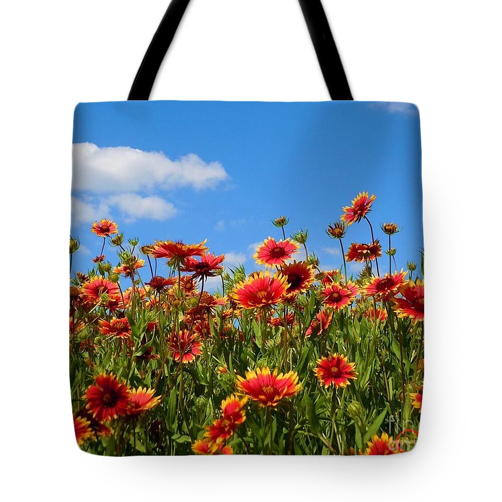 Wild Flower Tote Bag featuring the photograph Wild Red Daisies #7 by Robert ONeil