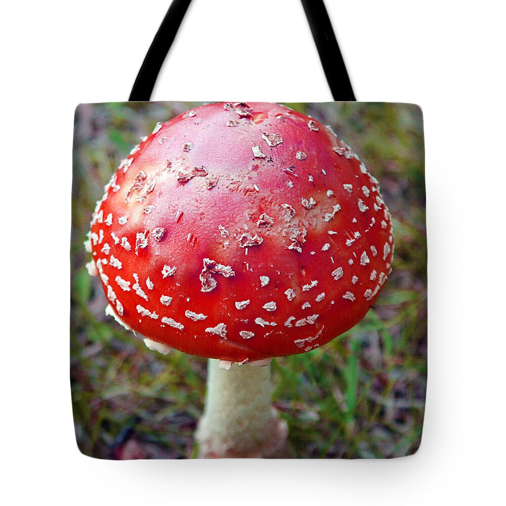 Nature Tote Bag featuring the photograph Wild Red Mushroom by Nina Silver