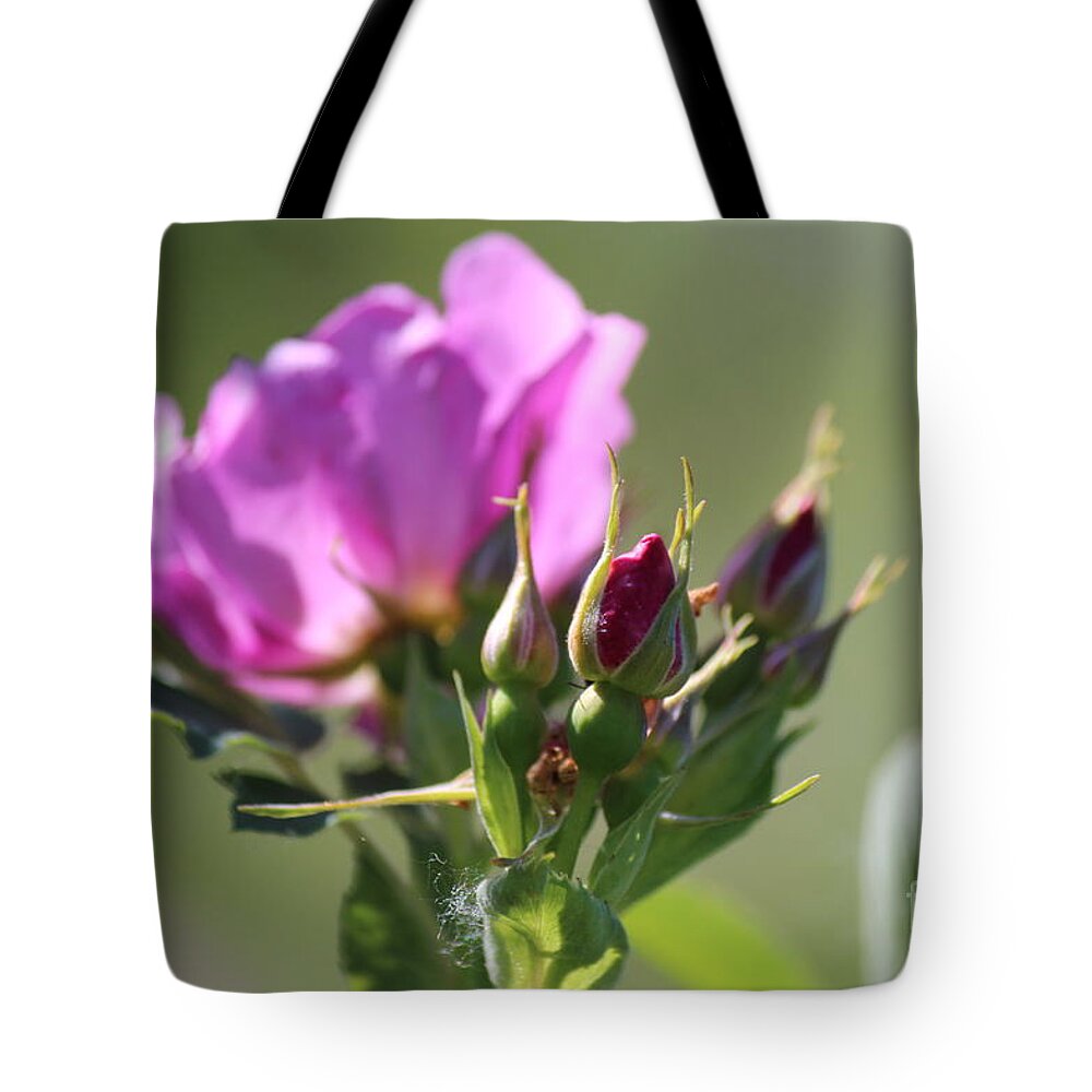 Wild Rose Tote Bag featuring the photograph Wild Rose by Ann E Robson