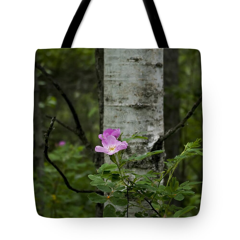 Photograph Tote Bag featuring the photograph Wild Rose by Rhonda McDougall