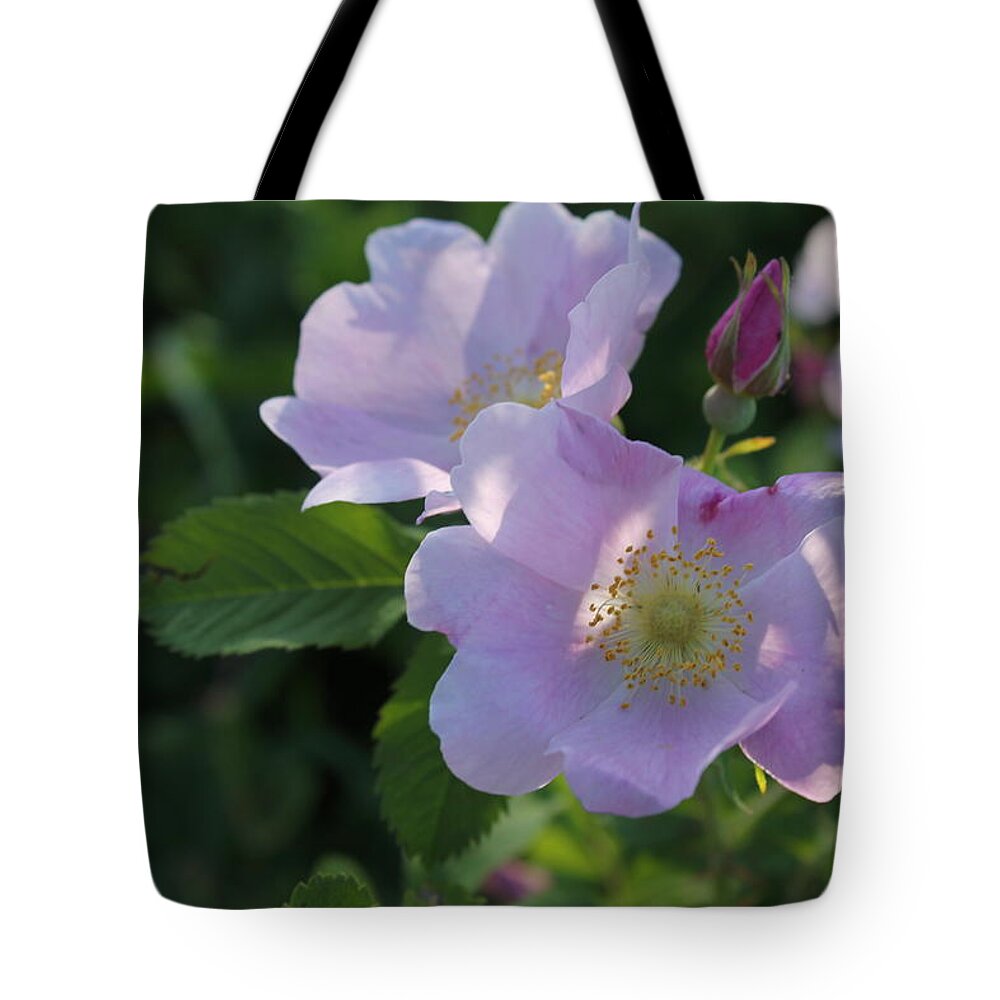 Wild Rose Tote Bag featuring the photograph Wild Roses by Ruth Kamenev