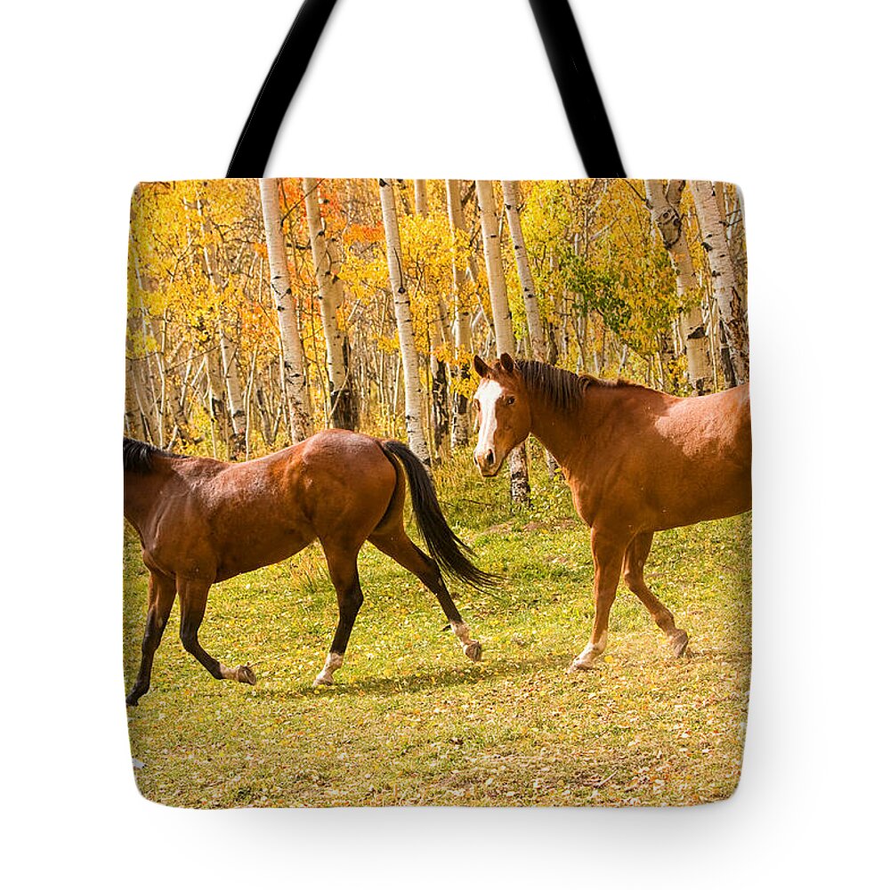 Horses Tote Bag featuring the photograph Wild Trotting Autumn Horses by James BO Insogna
