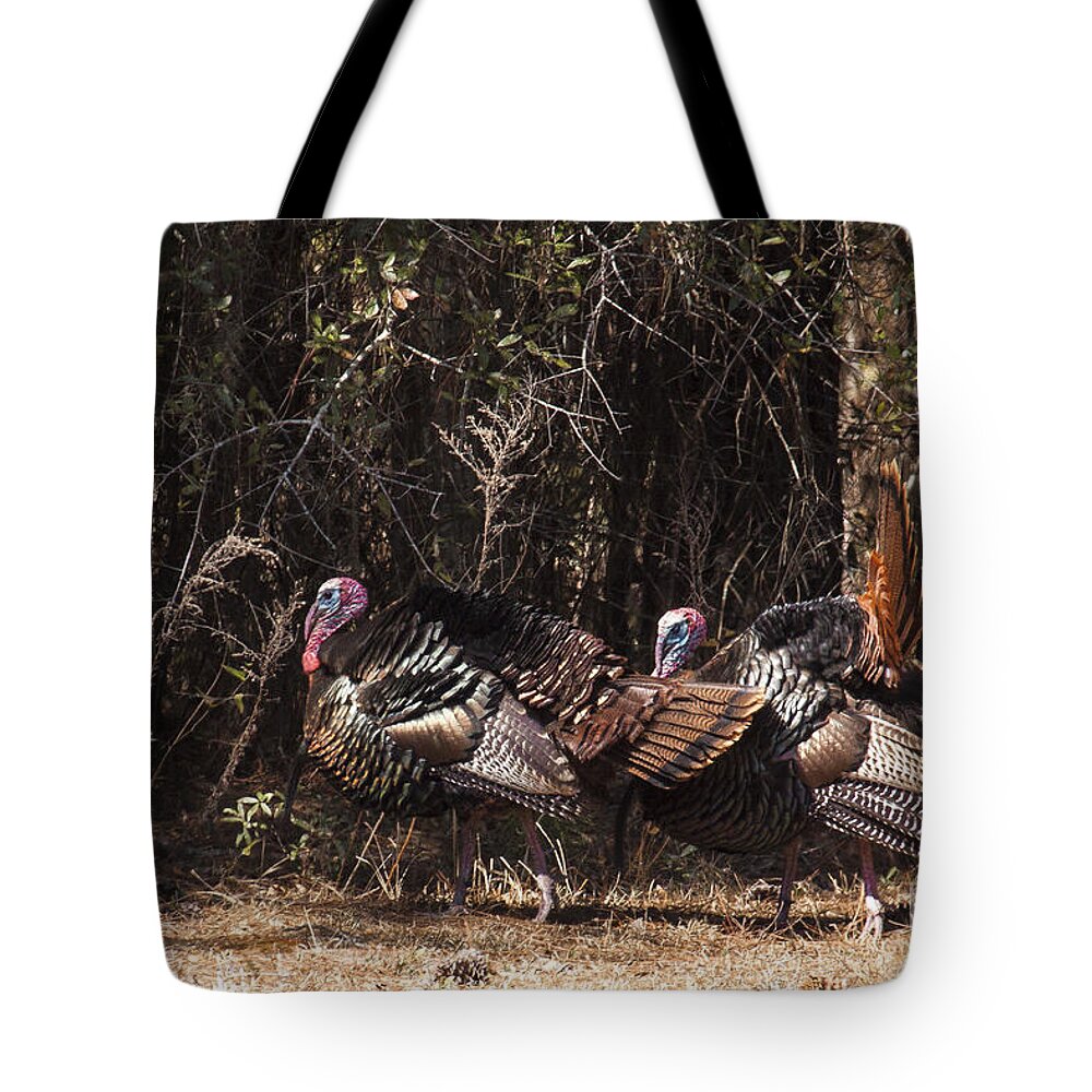 Nature Tote Bag featuring the photograph Wild Turkey Gobblers by Ronald Lutz