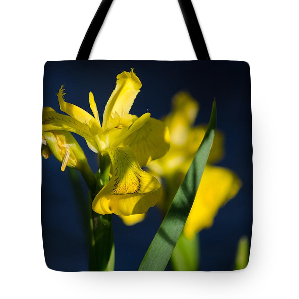 Dakota Tote Bag featuring the photograph Wild Water Iris by Greni Graph