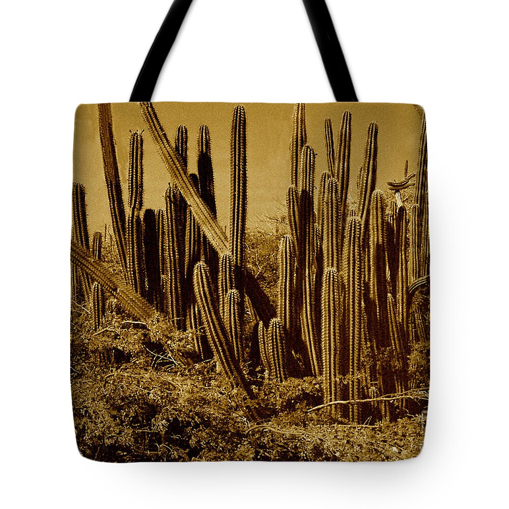 Sepia Tote Bag featuring the photograph Wild West Ivb by Anita Lewis