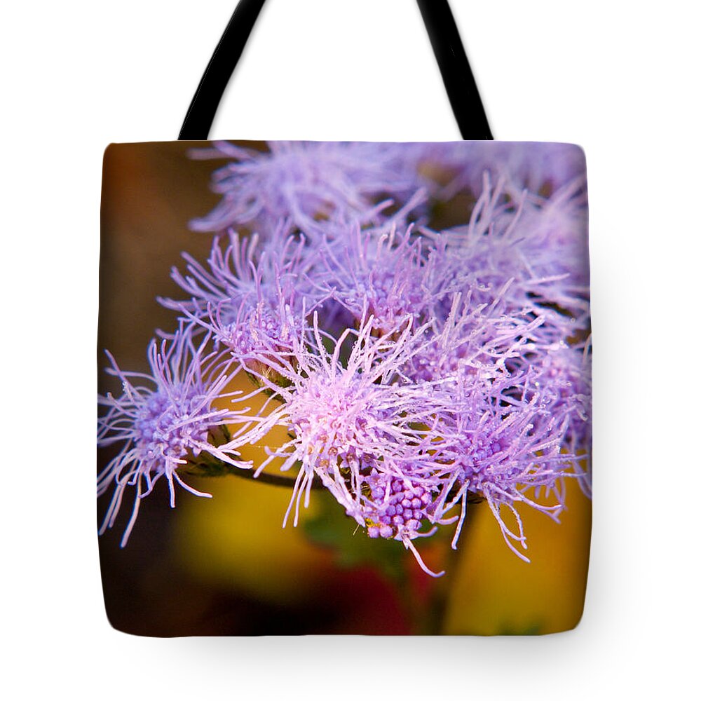 Wildflower Tote Bag featuring the photograph Wildflower-1 by Charles Hite