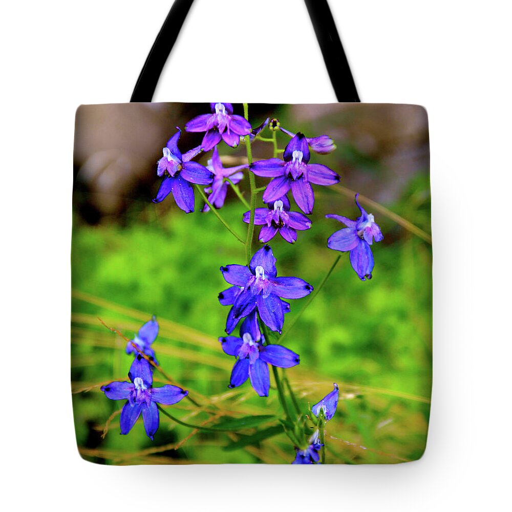 Larkspur Wildflowers Tote Bag featuring the photograph Wildflower Larkspur by Ed Riche