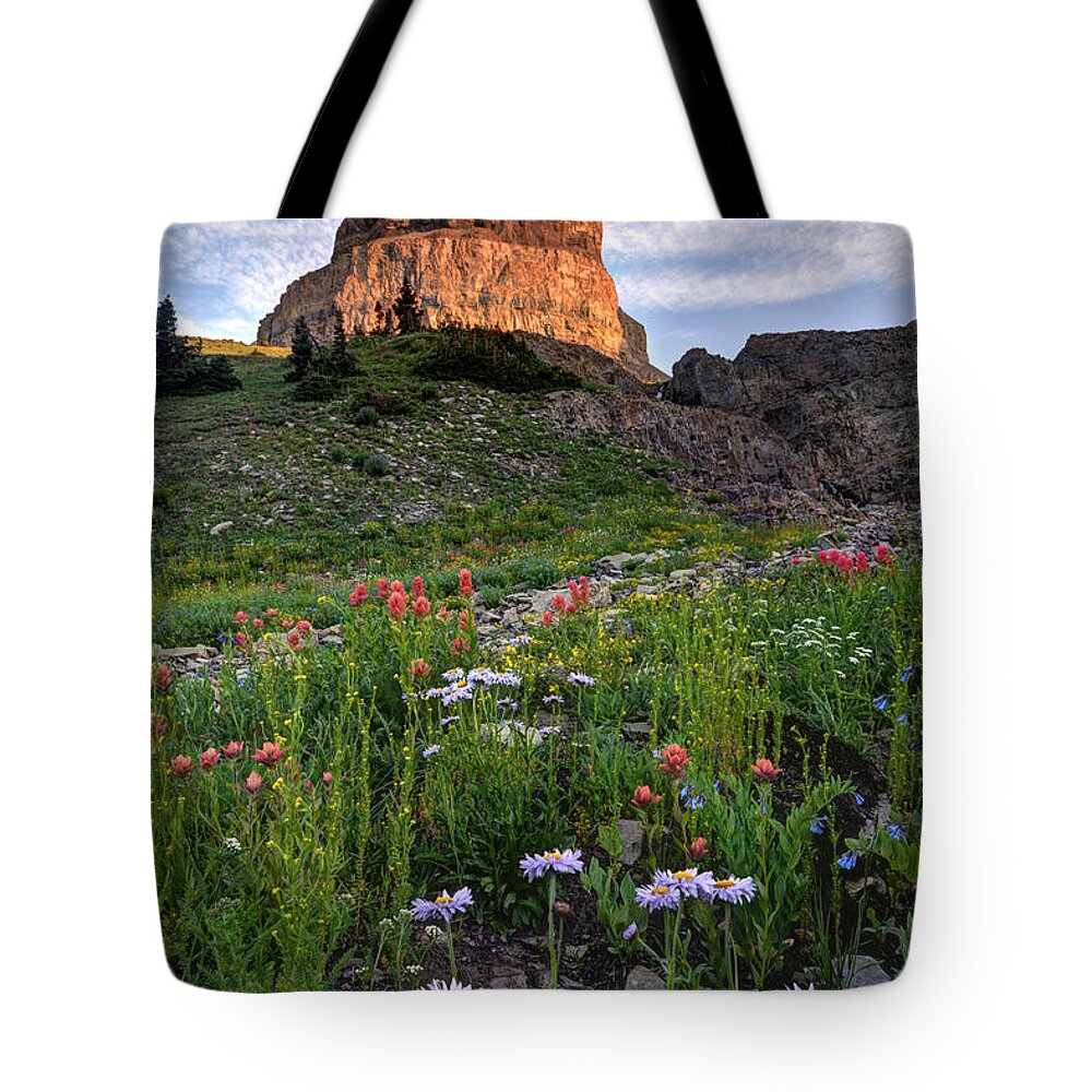 Wildflowers Tote Bag featuring the photograph Wildflowers and Timpanogos South Peak at Sunset by Gary Whitton