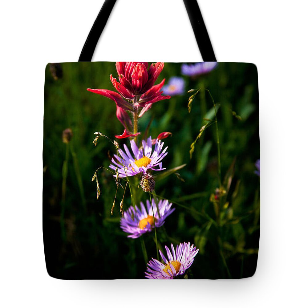 Landscape Tote Bag featuring the photograph Wildflowers by Steven Reed