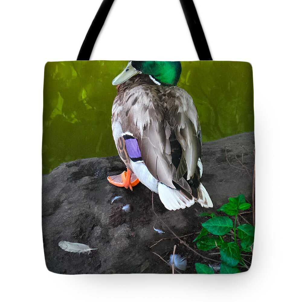 Duck Tote Bag featuring the photograph Wildlife In Central Park by Charlie Cliques