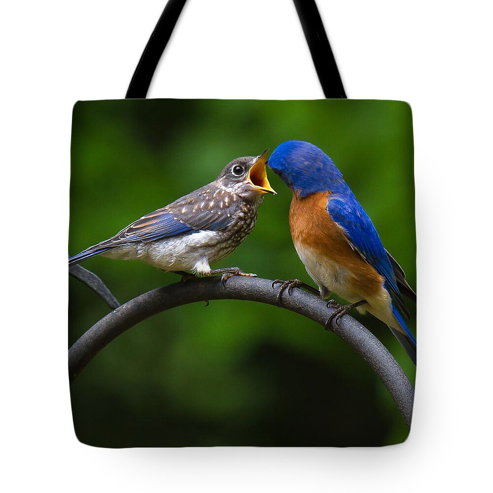 Bluebird Tote Bag featuring the photograph Will Sing For Food by Robert L Jackson