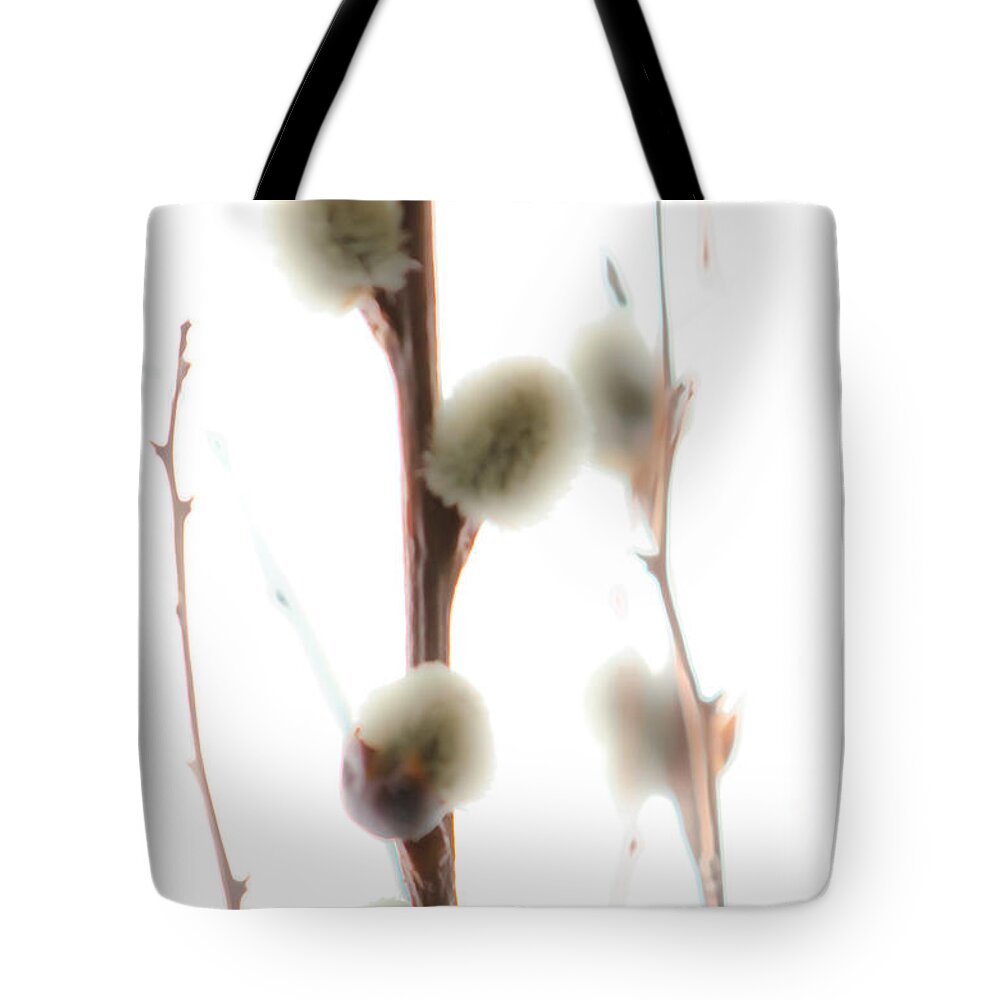 Pussy-willow Tote Bag featuring the photograph Willow On White by Michael Arend