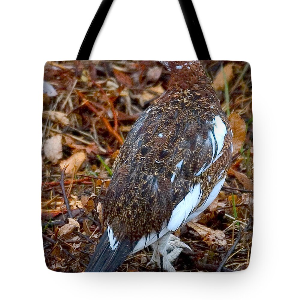 Nature Tote Bag featuring the photograph Willow Ptarmigan by David Salter