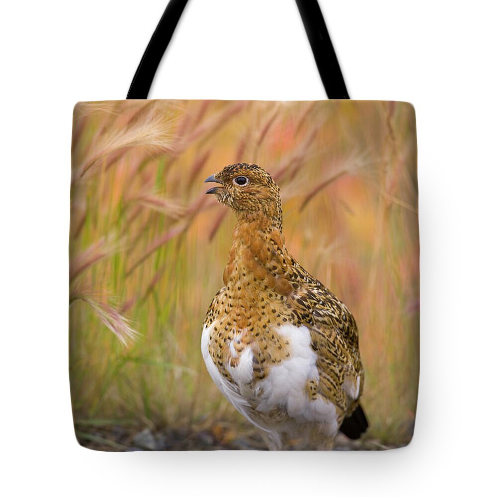 00440922 Tote Bag featuring the photograph Willow Ptarmigan Hen by Yva Momatiuk John Eastcott
