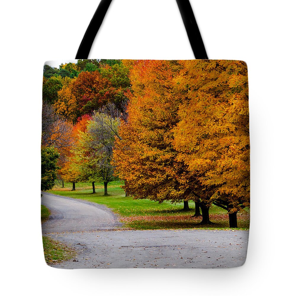 Mendon Ponds Tote Bag featuring the photograph Winding Road by William Norton