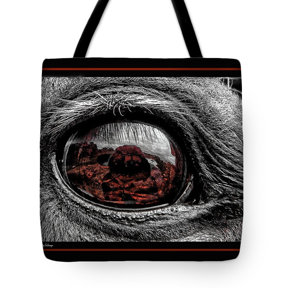 Window Tote Bag featuring the photograph Window To His Soul by Lucy VanSwearingen