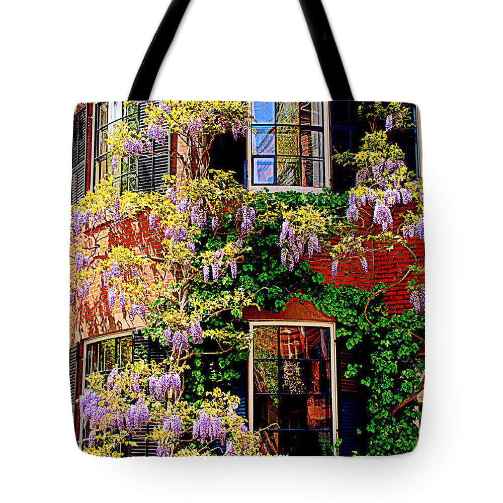Boston Tote Bag featuring the photograph Windows and Wisteria by Caroline Stella