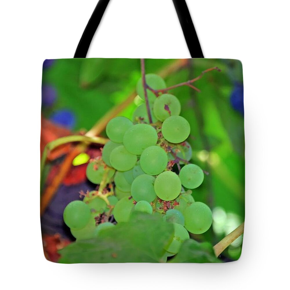 White Tote Bag featuring the photograph Wine Beginnings by Tap On Photo