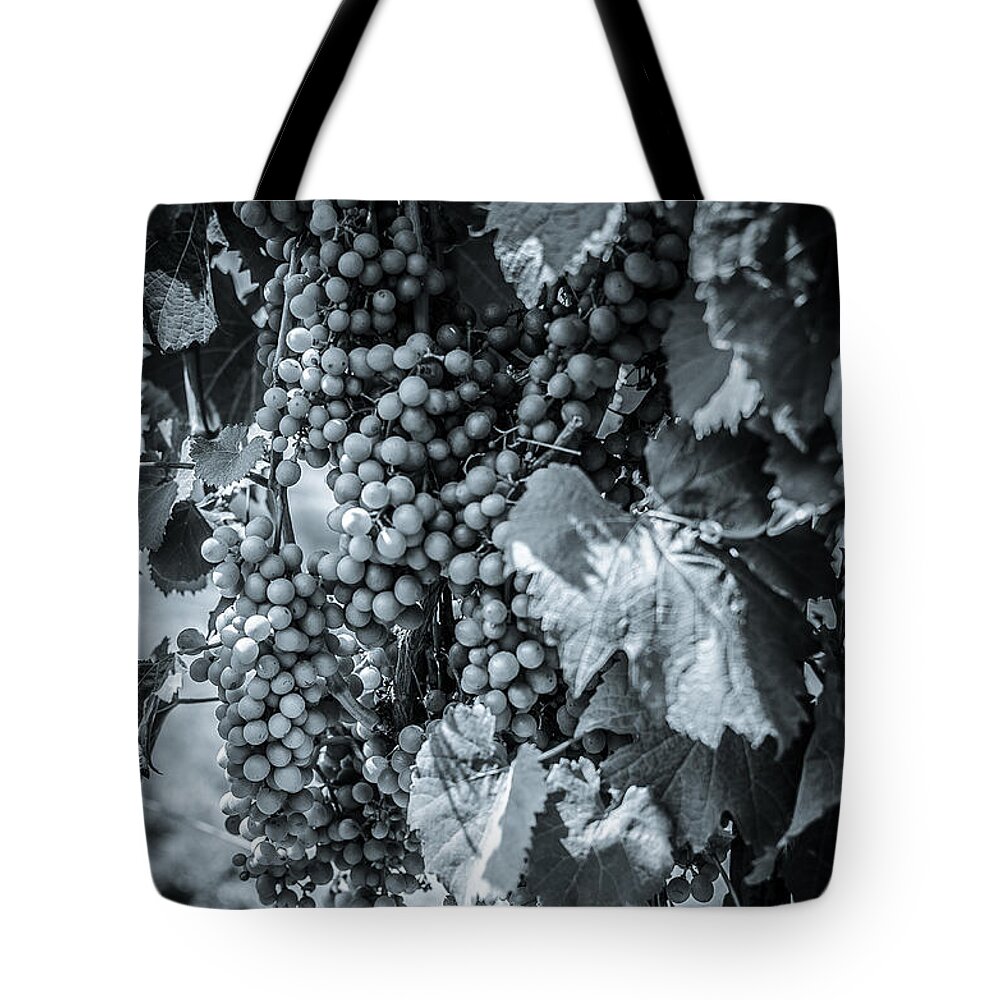Perissos Tote Bag featuring the photograph Wine Grapes BW by David Morefield