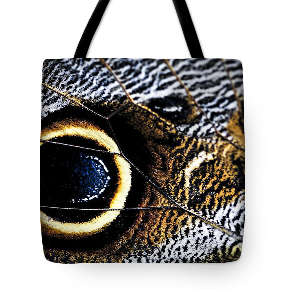 Caligo Tote Bag featuring the photograph Wing of Owl Butterfly by Elena Elisseeva