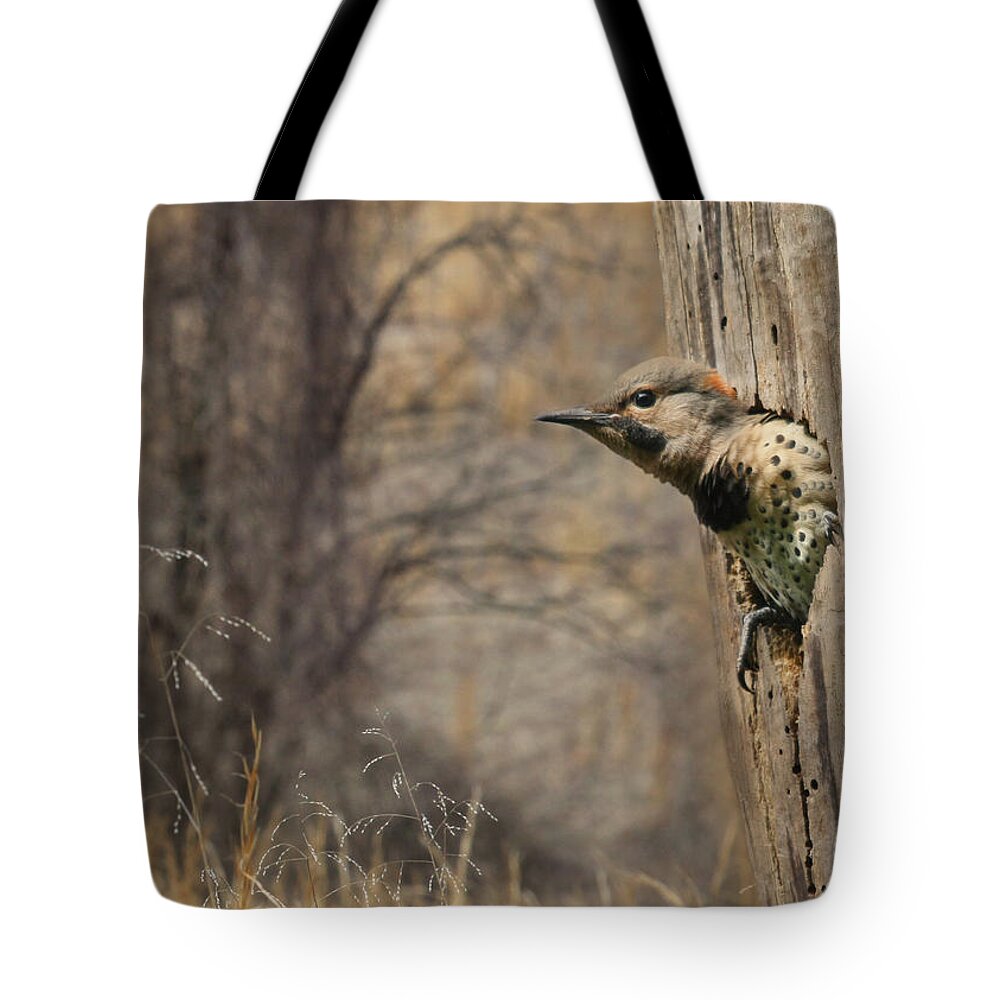 Flicker Tote Bag featuring the photograph Wings by Lori Deiter