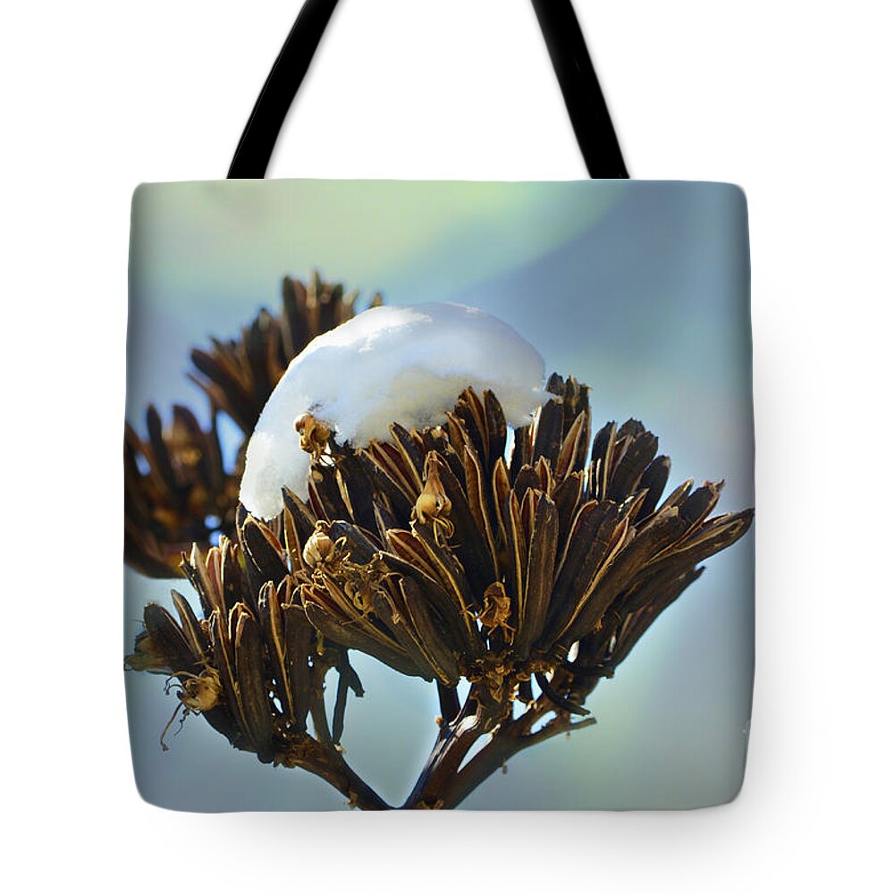 Agave Tote Bag featuring the photograph Winter Agave Bloom by Donna Greene
