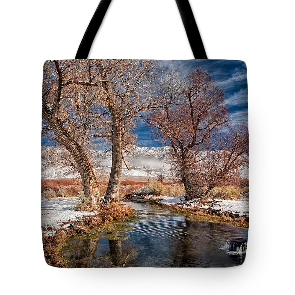 River Tote Bag featuring the photograph Winter at the Artesian by Cat Connor