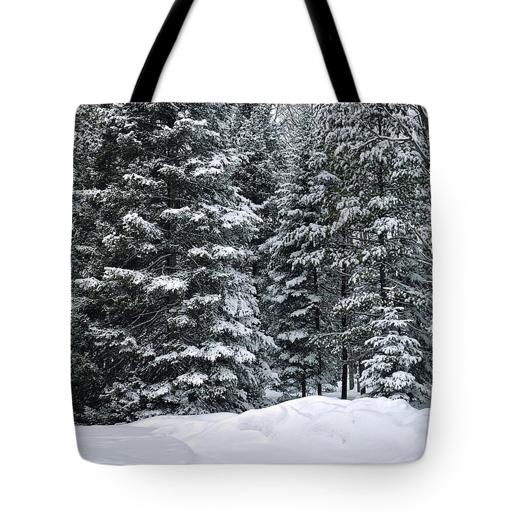 Winter Scene Photo Tote Bag featuring the photograph Winter Bliss by Gwen Gibson