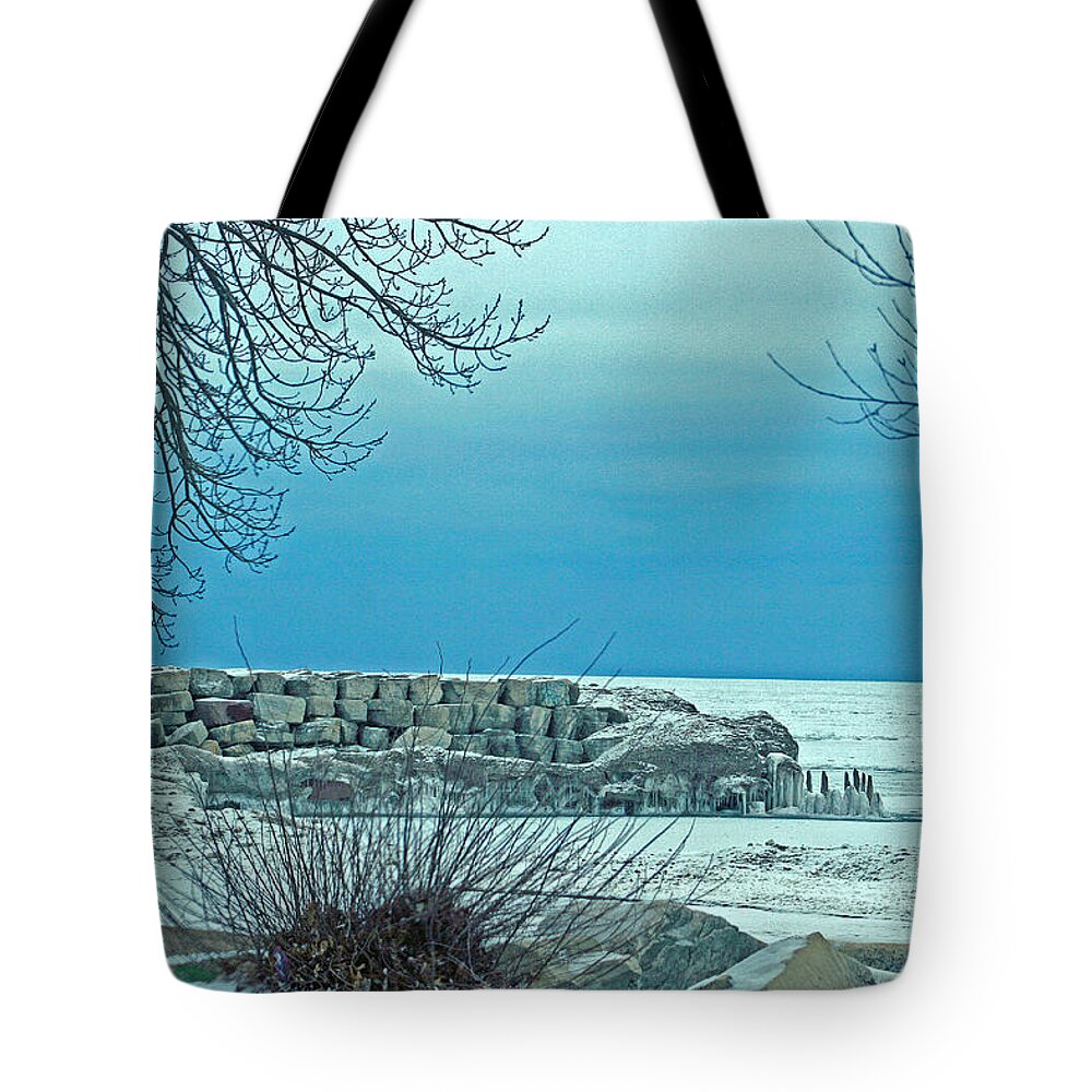Winter Tote Bag featuring the photograph Winter Blues by Kay Novy