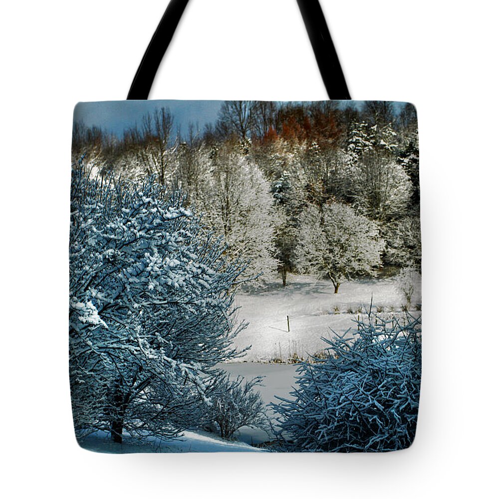 Winter Tote Bag featuring the photograph Winter Blues by William Rockwell