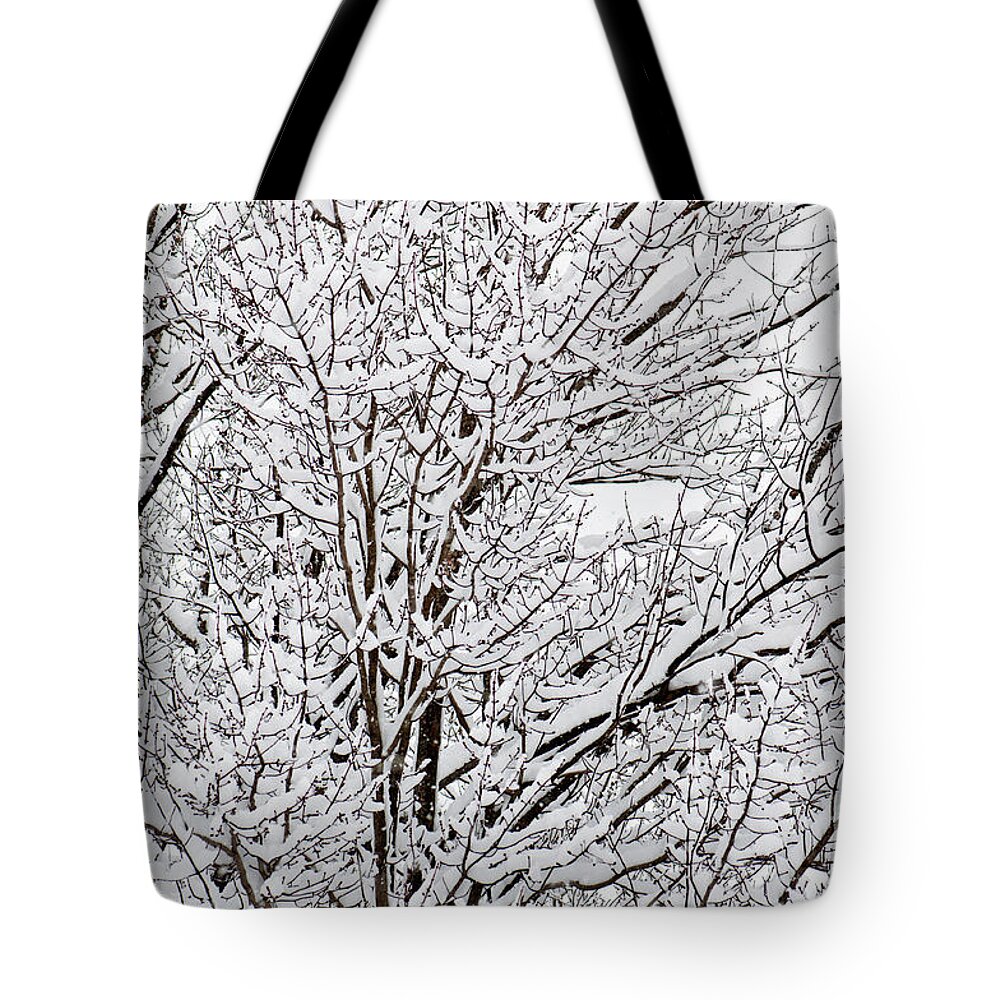 Winter Snow Covered Branches Tote Bag featuring the photograph Winter Branches by Gwen Gibson
