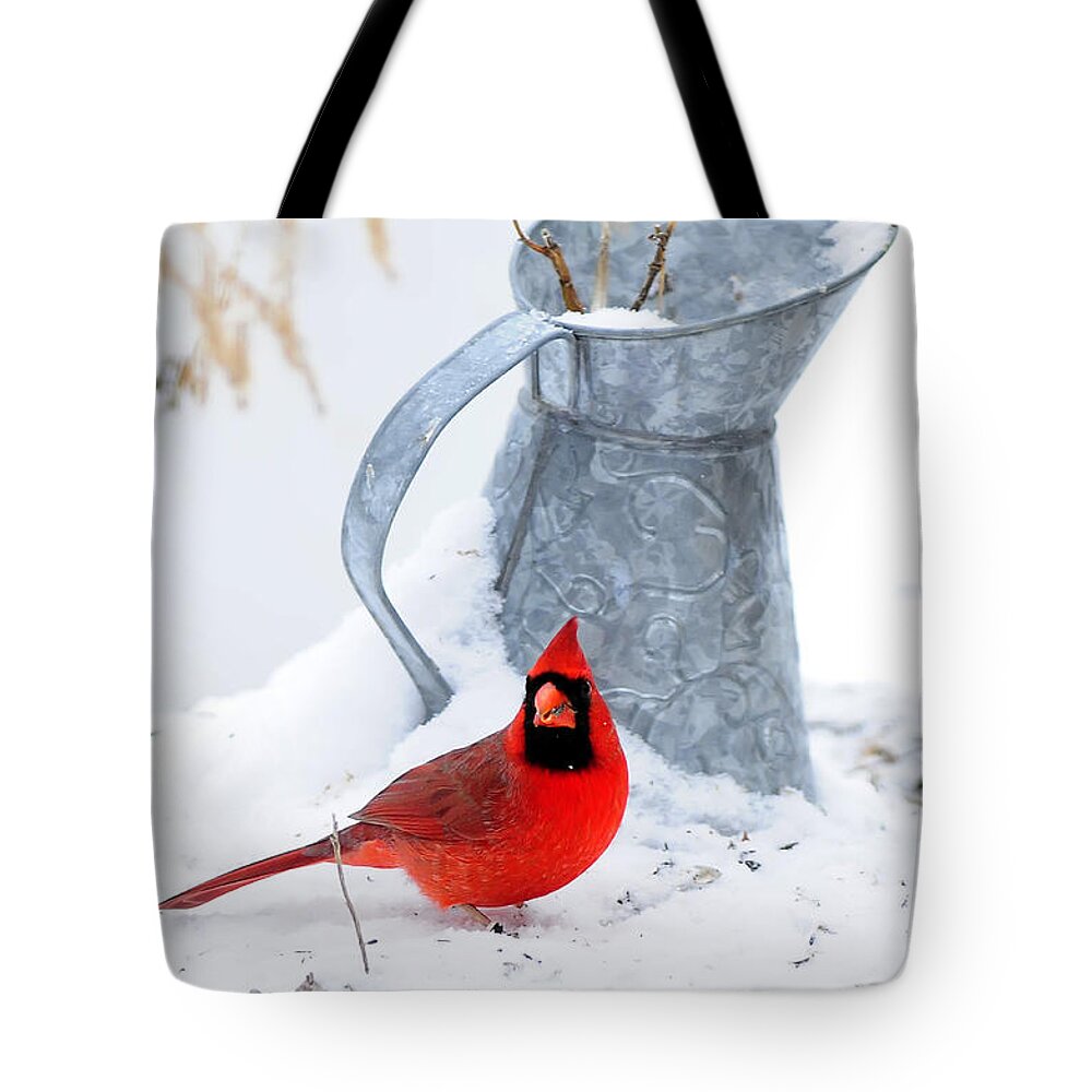 Water Tote Bag featuring the photograph Winter Can Cardinal by Randall Branham