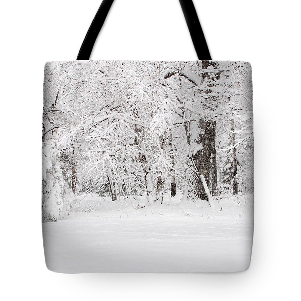 Winter Wonderland Tote Bag featuring the photograph Winter Canvas by Gwen Gibson