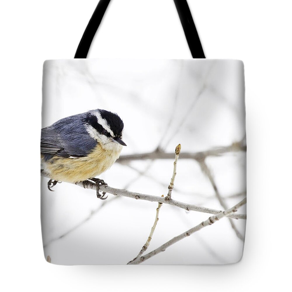 Nuthatch Tote Bag featuring the photograph Winter Day by Jan Killian