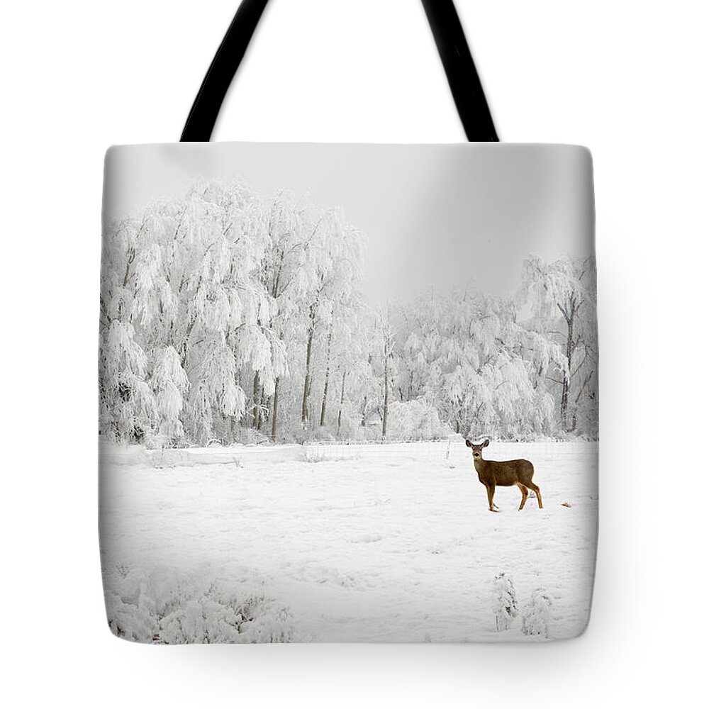 Hoar Tote Bag featuring the photograph Winter Doe by Mary Jo Allen