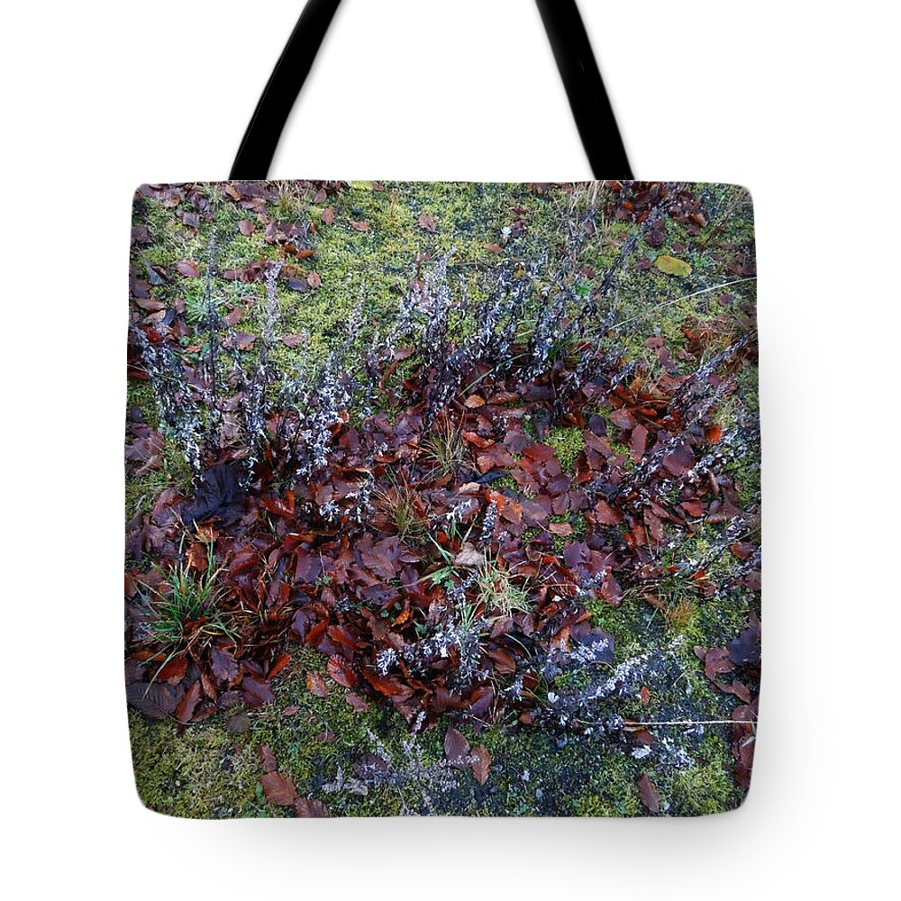 Colette Tote Bag featuring the photograph Winter Frost Peace Nature Denmark by Colette V Hera Guggenheim