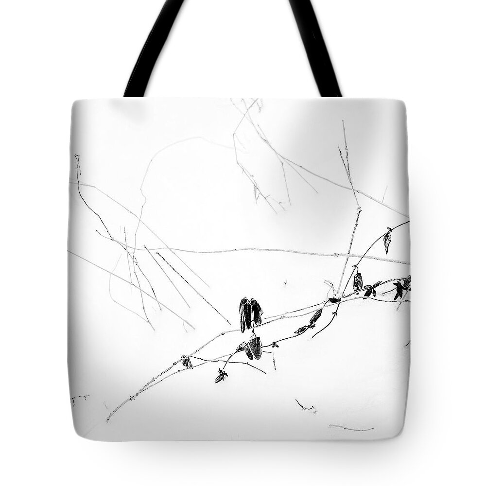 Snow Tote Bag featuring the photograph Winter Garden No 1 by Louise Kumpf