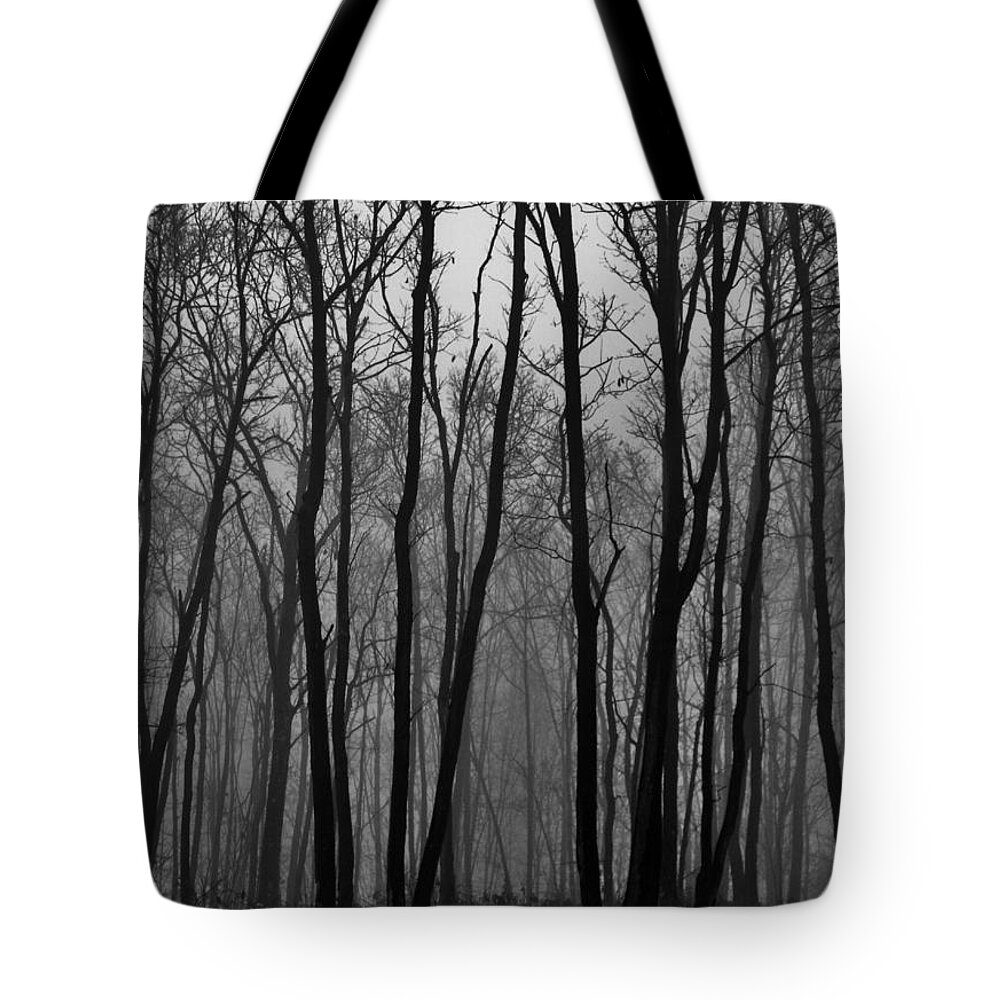 Pennsylvania Tote Bag featuring the photograph Winter in Pennsylvania by Benjamin Yeager