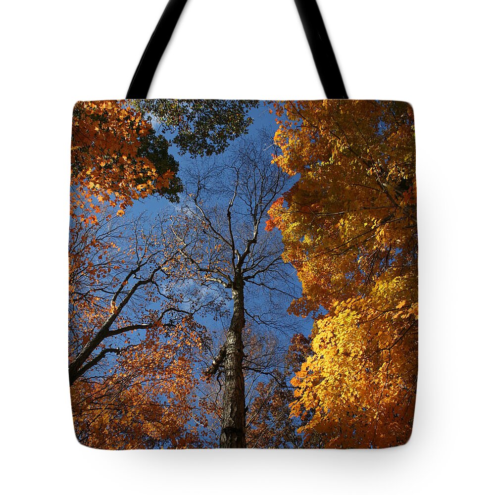 Autumn Tote Bag featuring the photograph Winter is Coming by William Selander
