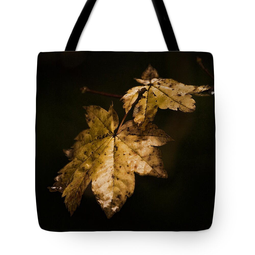 Winter Tote Bag featuring the photograph Winter Leaves by Ron Roberts